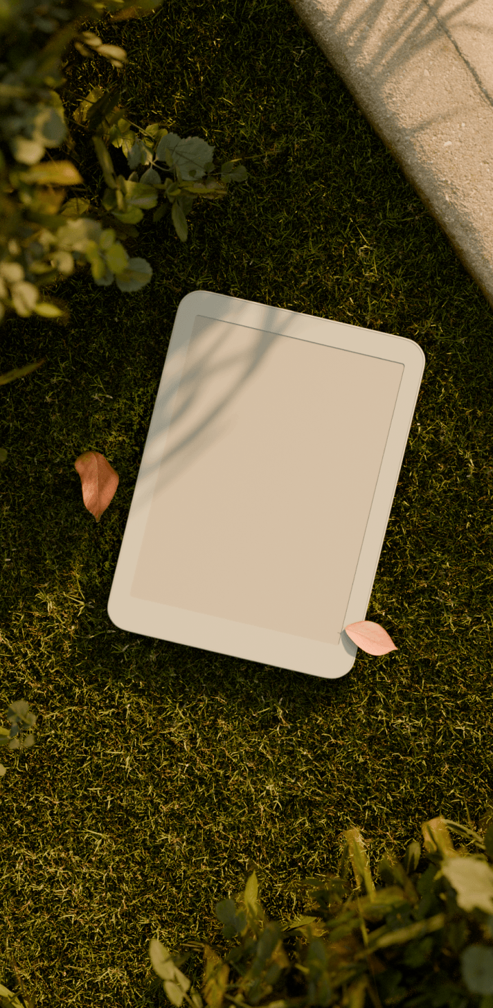 Daylight tablet on the grass
